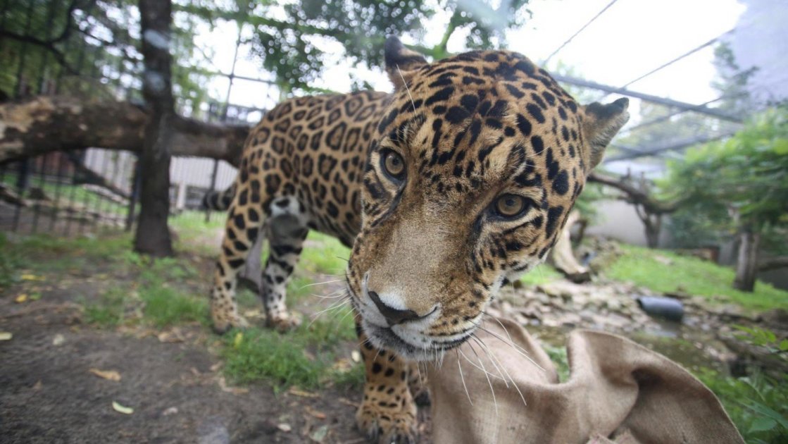 Зоопарк Варшави